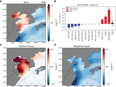 What controls the future phytoplankton change over the Yellow and East China Seas under global warming?